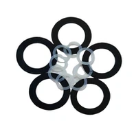 Siegla tat-Tapp tal-Ixxotta